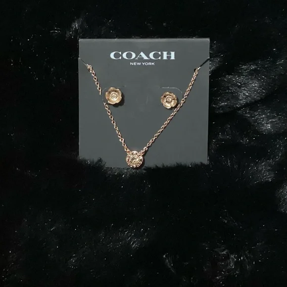 NWT Coach floral earrings and crystal necklace set - Picture 3 of 4